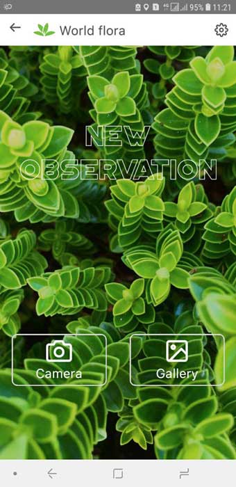 بررسی و دانلود برنامه PlantNet ؛ گیاه شناسی با دوربین گوشی