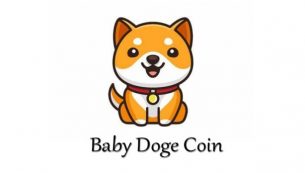 ارز دیجیتال BabyDoge چیست و عملکرد آن در سال ۲۰۲۲ چطور خواهد بود؟